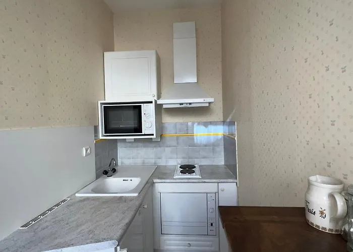 : T2 Calme, Animaux Admis, Balcon - Fr-1-555-83 Aix-les-Bains